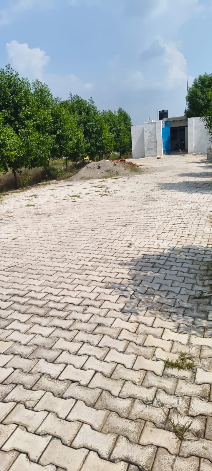 bhavna road